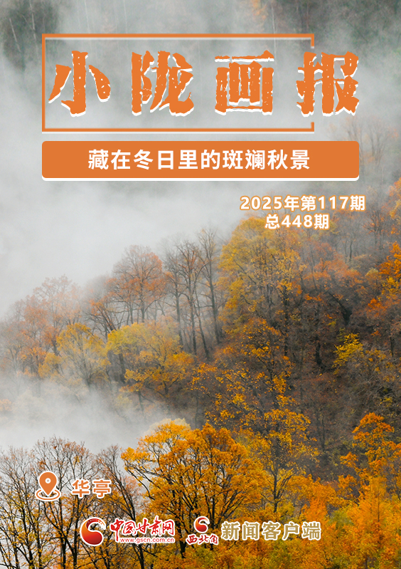 【小隴畫(huà)報(bào)·448期】華亭：藏在冬日里的斑斕秋景