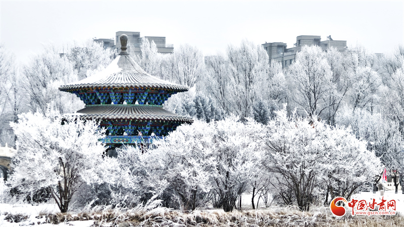 民樂(lè)縣雪后霧凇：北國(guó)壯闊與溫柔靜謐交織